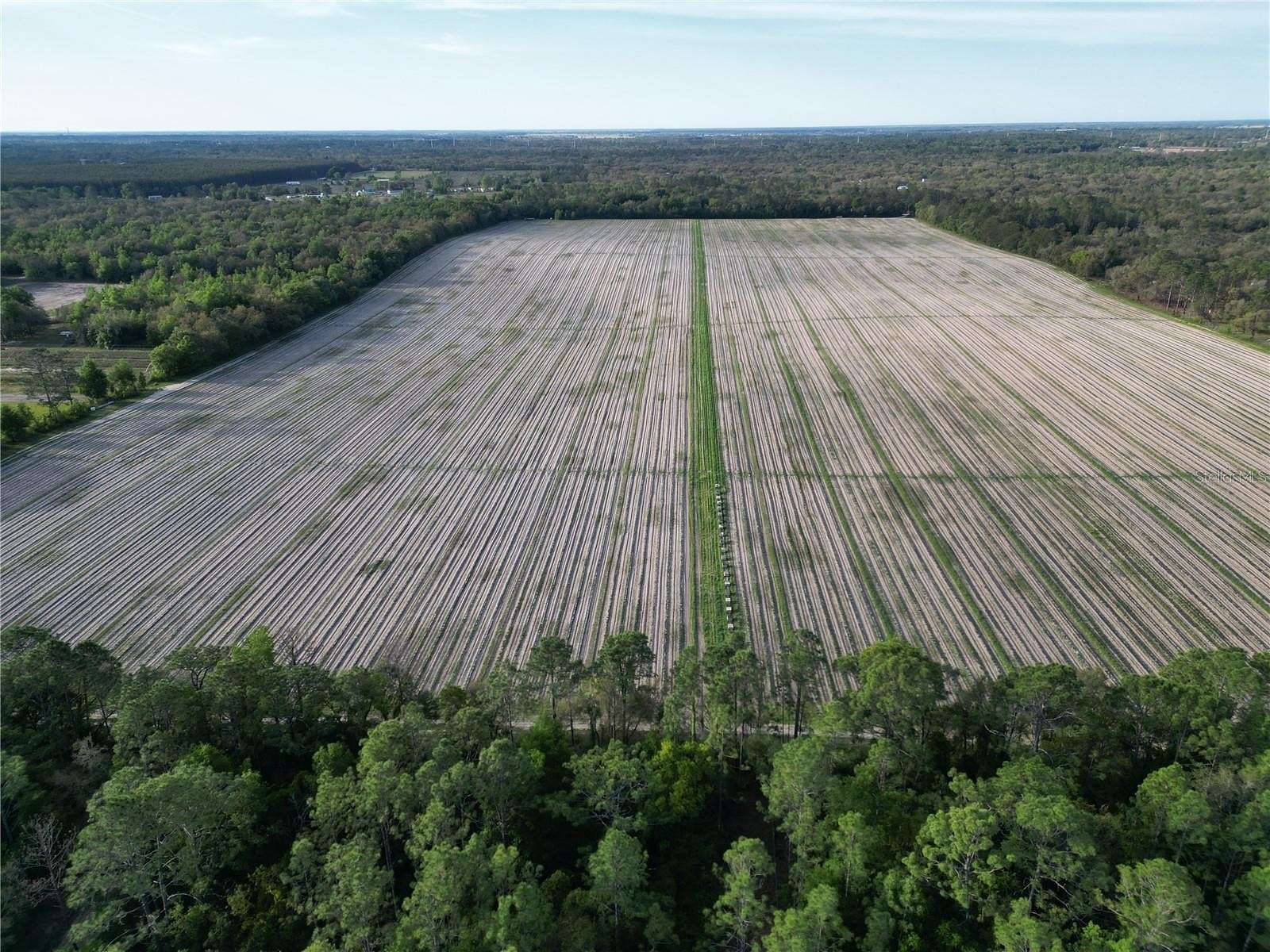 100.76 Acres of Agricultural Land for Sale in Bronson, Florida