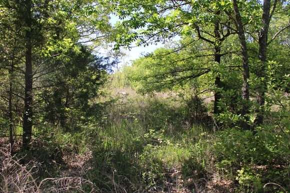 5 Acres of Land for Sale in Flippin, Arkansas