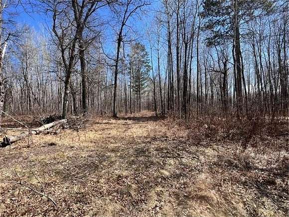 2.8 Acres of Residential Land for Sale in Loon Lake Township, Minnesota