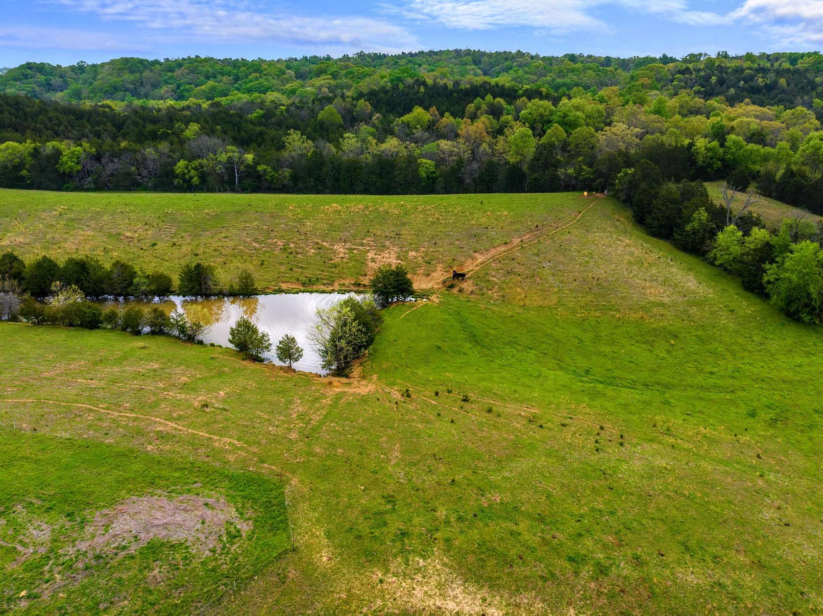 38 Acres of Land for Sale in Newport, Tennessee
