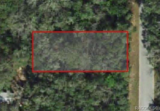 0.14 Acres of Land for Sale in Hernando, Florida
