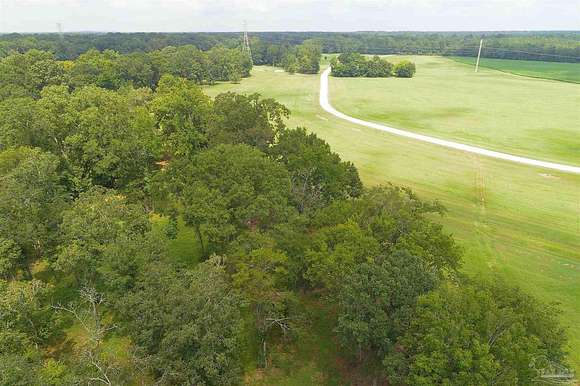 1 Acre of Residential Land for Sale in Greensboro, Alabama