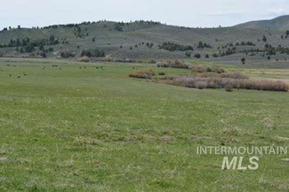 80 Acres of Land for Sale in Prairie, Idaho