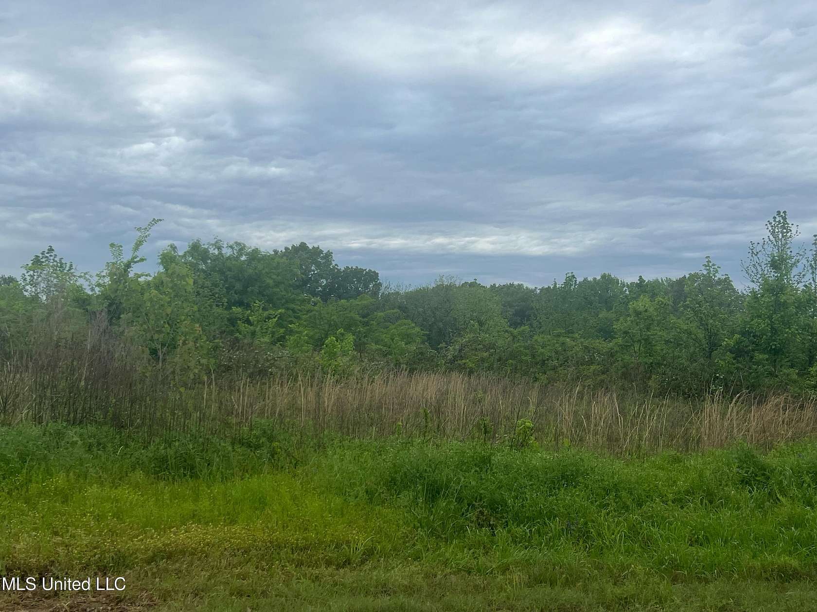 1.5 Acres of Residential Land for Sale in Lake Cormorant, Mississippi