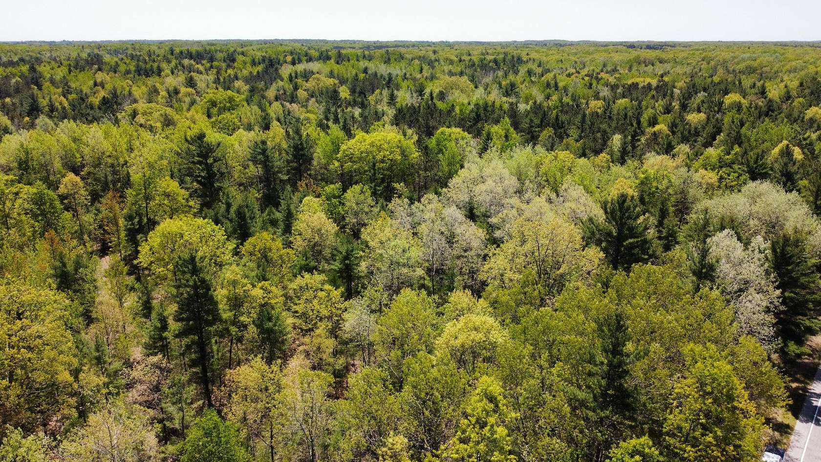 10 Acres of Residential Land for Sale in Manistee, Michigan