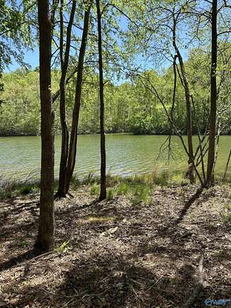 0.5 Acres of Residential Land for Sale in Hodges, Alabama