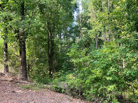22 Acres of Recreational Land & Farm for Sale in Town Creek, Alabama