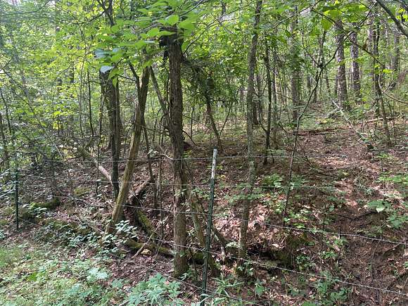 10 Acres of Recreational Land & Farm for Sale in Town Creek, Alabama