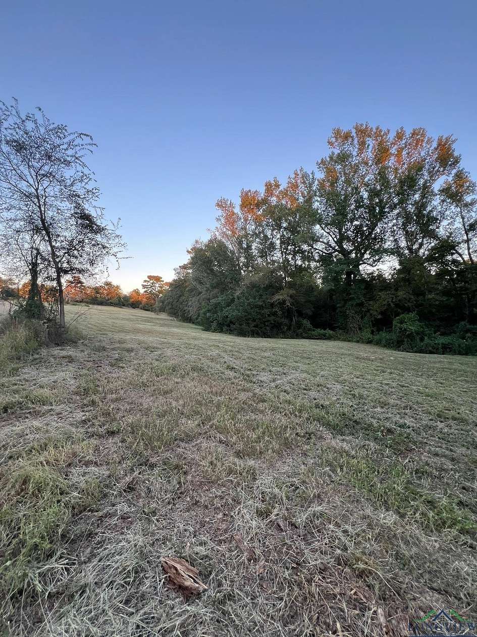 9.955 Acres of Residential Land for Sale in Big Sandy, Texas