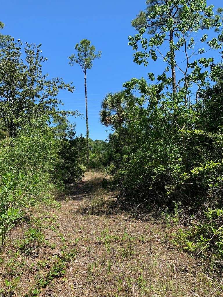 0.71 Acres of Residential Land for Sale in Port St. Joe, Florida