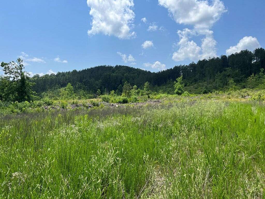 27.2 Acres of Land for Sale in Decatur, Tennessee
