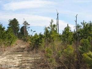 92.41 Acres of Agricultural Land for Sale in Barco, North Carolina