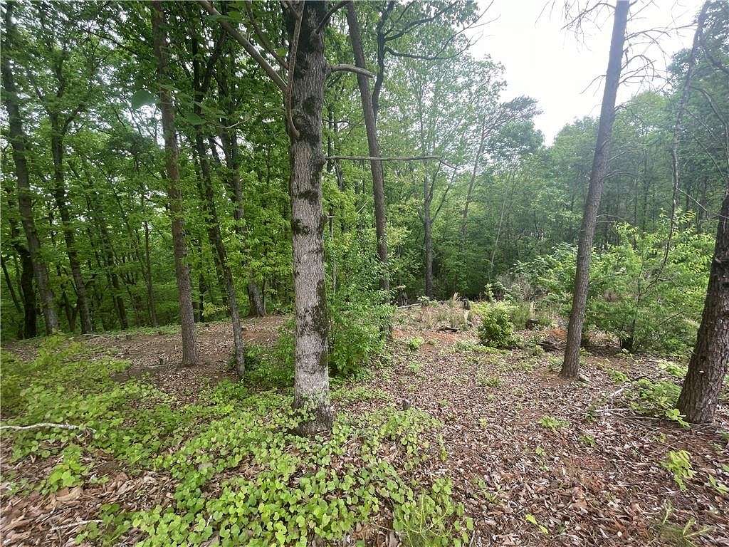 0.74 Acres of Residential Land for Sale in Gainesville, Georgia