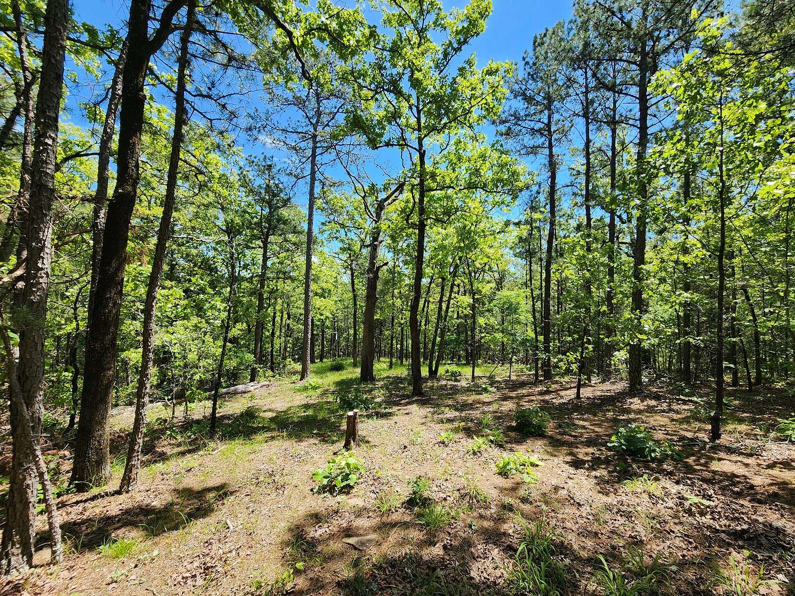 23.3 Acres of Recreational Land & Farm for Sale in Talihina, Oklahoma