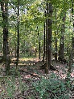 105 Acres of Land for Sale in Brookhaven, Mississippi