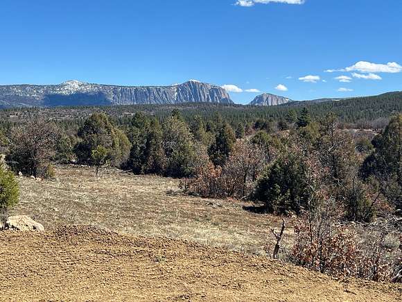 13.4 Acres of Land for Sale in Tierra Amarilla, New Mexico