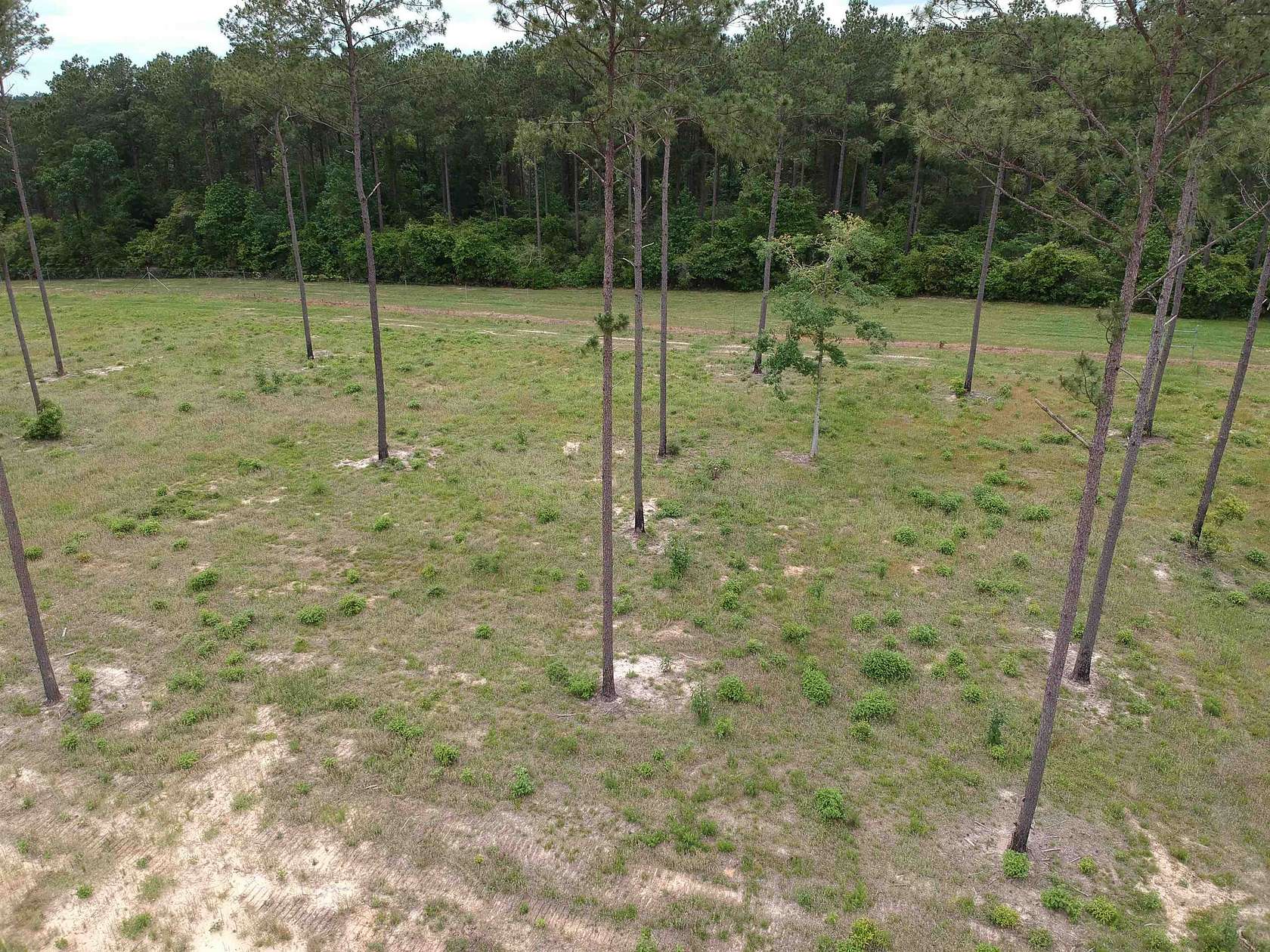1.5 Acres of Residential Land for Sale in Livingston, Texas