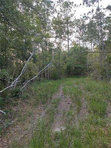 7.1 Acres of Residential Land for Sale in Ponchatoula, Louisiana