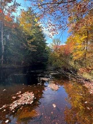 62 Acres of Land for Sale in Lebanon, Maine