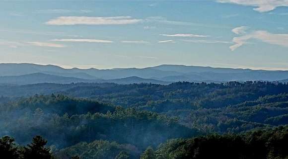 44.3 Acres of Agricultural Land for Sale in Morganton, Georgia
