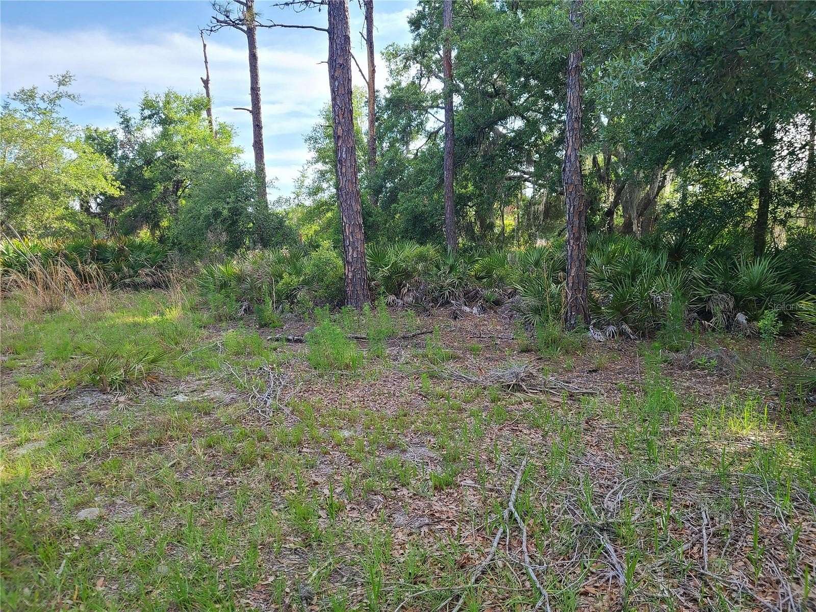1.58 Acres of Land for Sale in Crystal River, Florida
