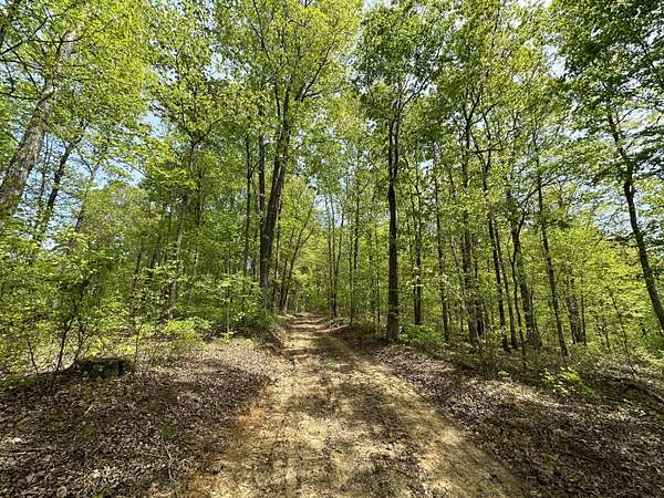 47.4 Acres of Recreational Land for Sale in Bowling Green, Kentucky