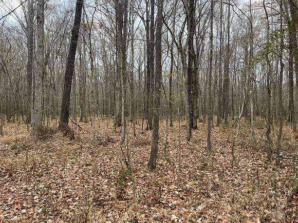165 Acres of Recreational Land for Sale in Camden, Mississippi