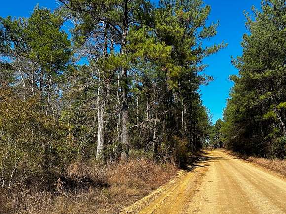 160 Acres of Land for Sale in Brooklyn, Mississippi