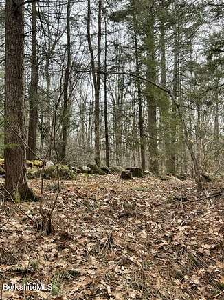 47.4 Acres of Recreational Land for Sale in Blandford, Massachusetts