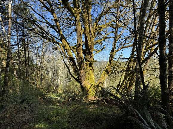 226.07 Acres of Recreational Land for Sale in Langlois, Oregon - LandSearch