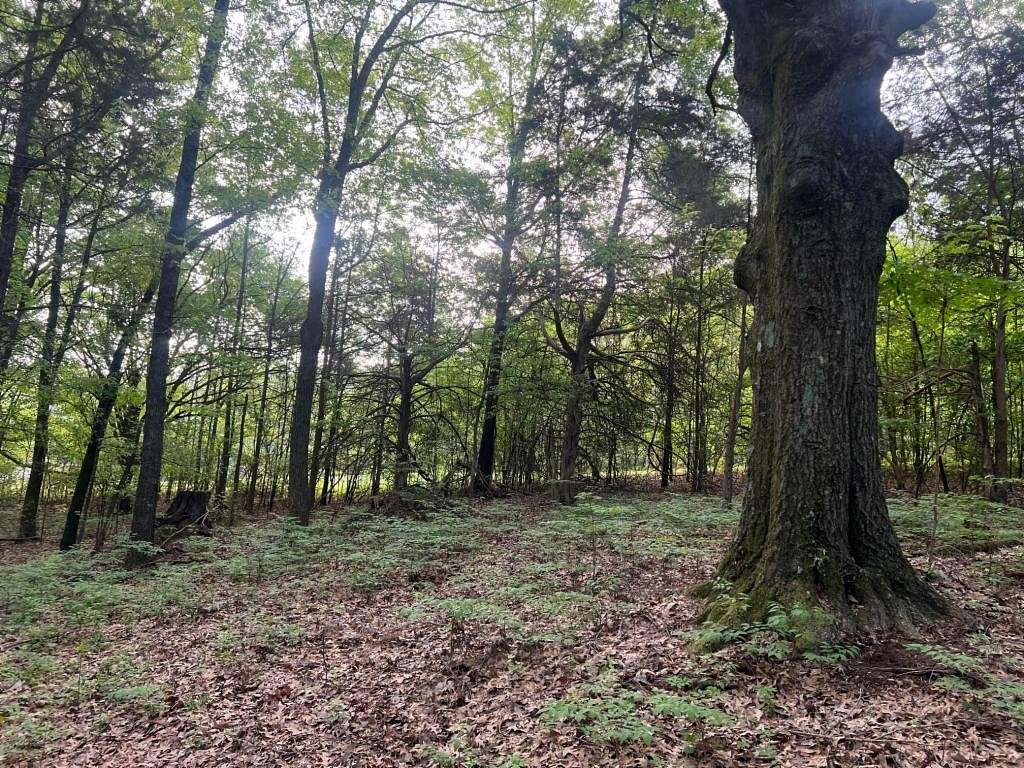 5.4 Acres of Residential Land for Sale in Coldwater, Mississippi