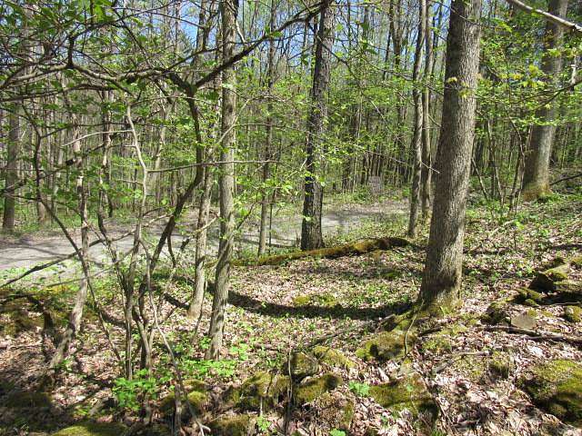 4.8 Acres of Residential Land for Sale in Cooperstown, New York