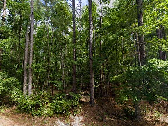 3.2 Acres of Residential Land for Sale in Opelika, Alabama