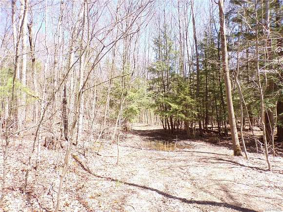 13.3 Acres of Recreational Land for Sale in Scio, New York