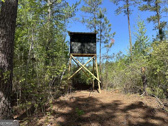 207 Acres of Recreational Land & Farm for Sale in Talbotton, Georgia