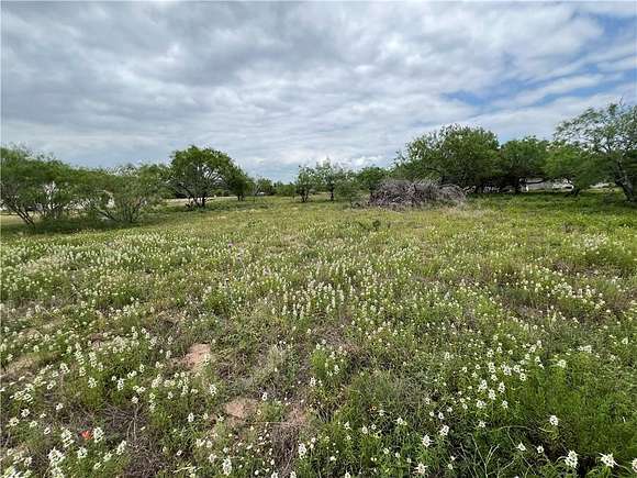1 Acre of Residential Land for Sale in Kingsville, Texas