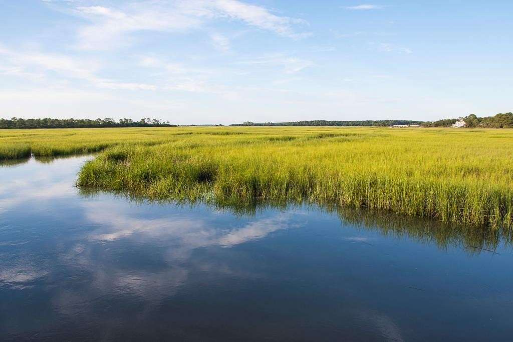20 Acres of Land for Sale in Parksley, Virginia