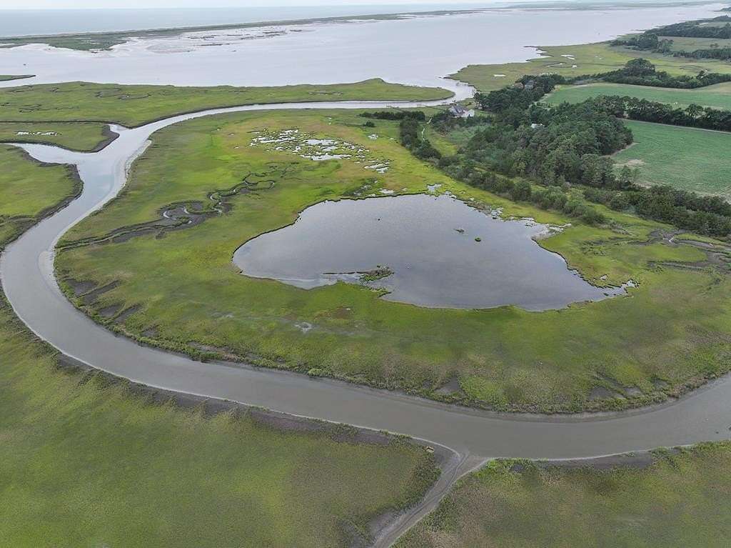 20 Acres of Recreational & Residential Land for Sale in Parksley, Virginia