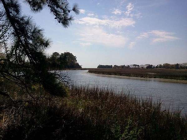 9 Acres of Residential Land for Sale in Parksley, Virginia