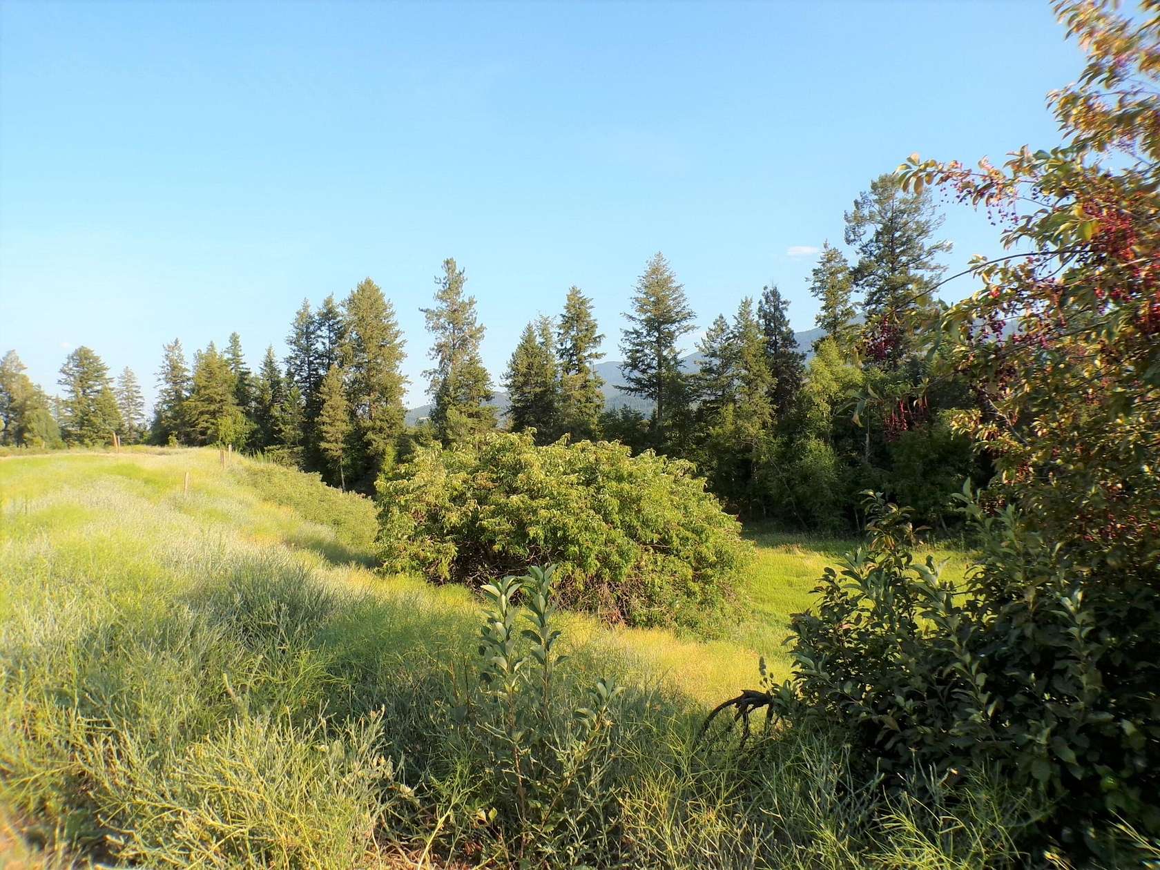6.2 Acres of Land for Sale in Kettle Falls, Washington