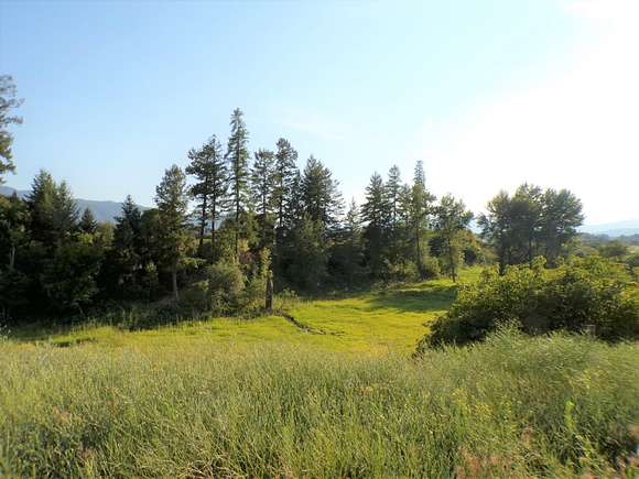 6.2 Acres of Land for Sale in Kettle Falls, Washington