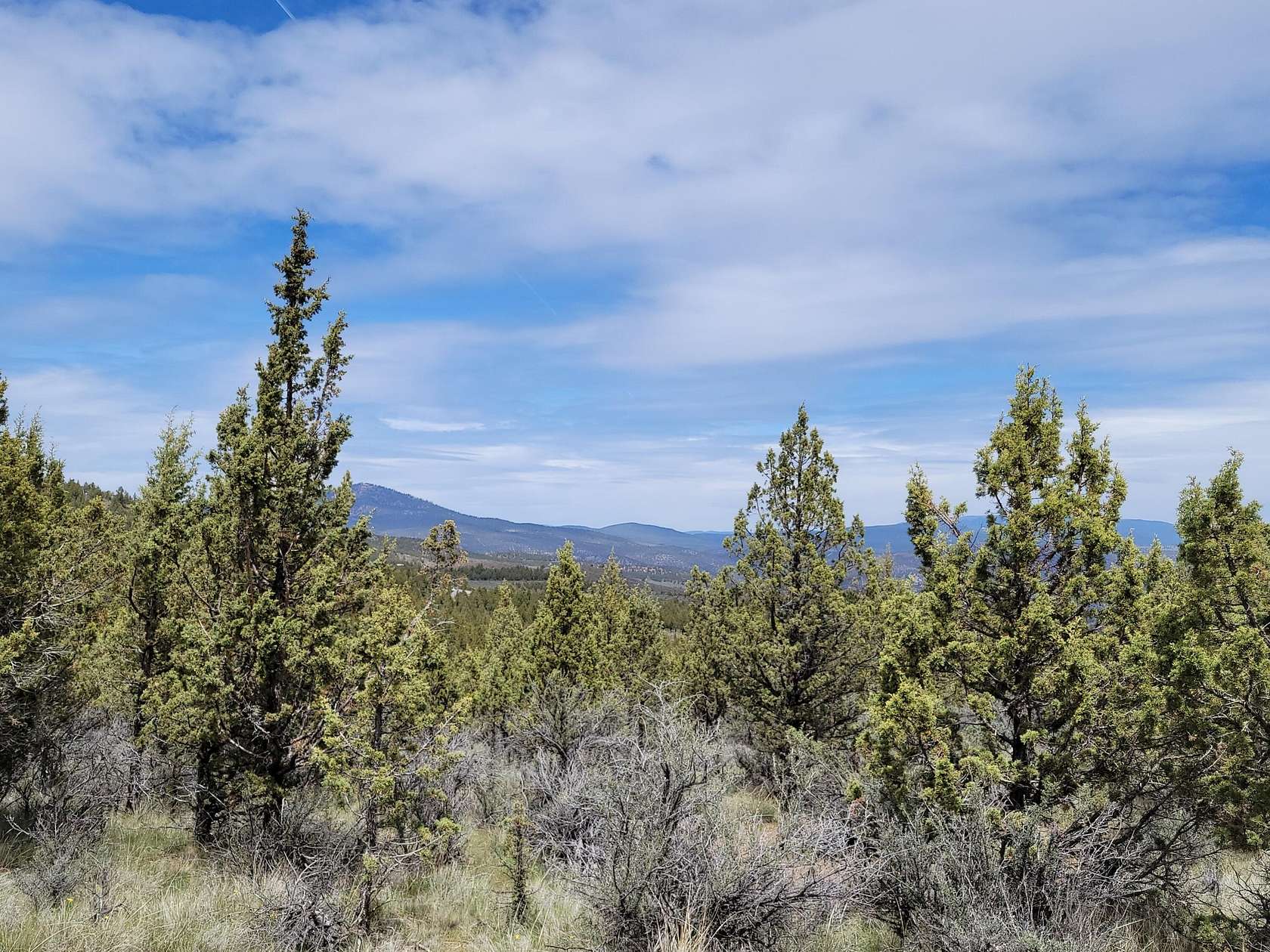 32.3 Acres of Recreational Land for Sale in Prineville, Oregon