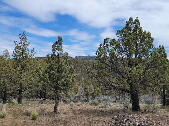 32.3 Acres of Recreational Land for Sale in Prineville, Oregon