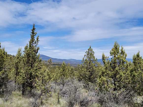 32.3 Acres of Recreational Land for Sale in Prineville, Oregon