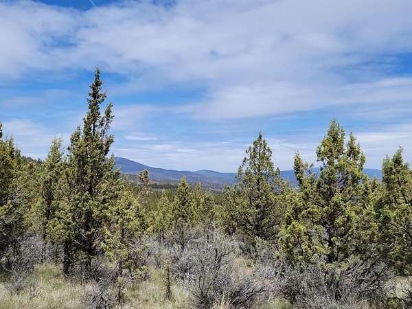 32.3 Acres of Recreational & Residential Land for Sale in Prineville, Oregon