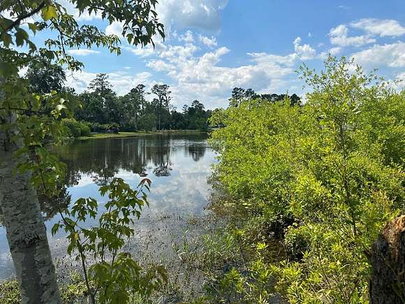 1 Acre of Residential Land for Sale in Lake Park, Georgia