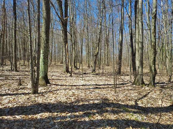 39.5 Acres of Recreational Land for Sale in Evart, Michigan