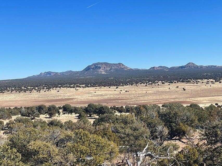 325 Acres of Recreational & Residential Land for Sale in Pie Town, New Mexico