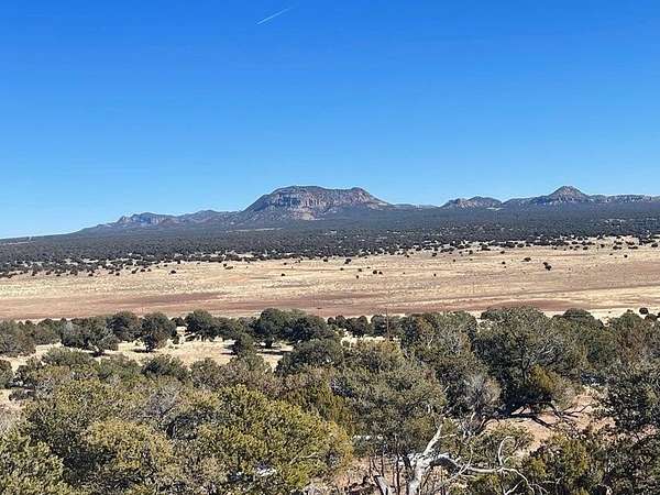 325 Acres of Recreational & Residential Land for Sale in Pie Town, New Mexico