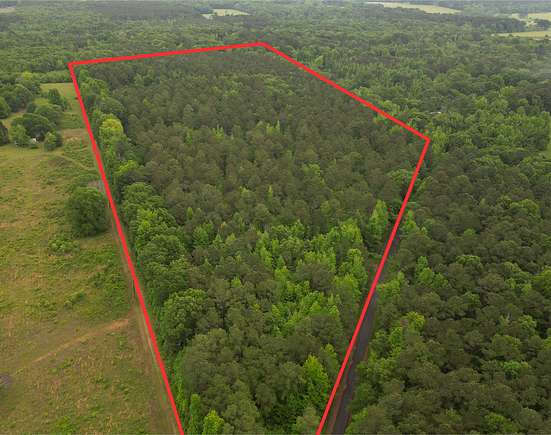 31.2 Acres of Land for Sale in Queen City, Texas